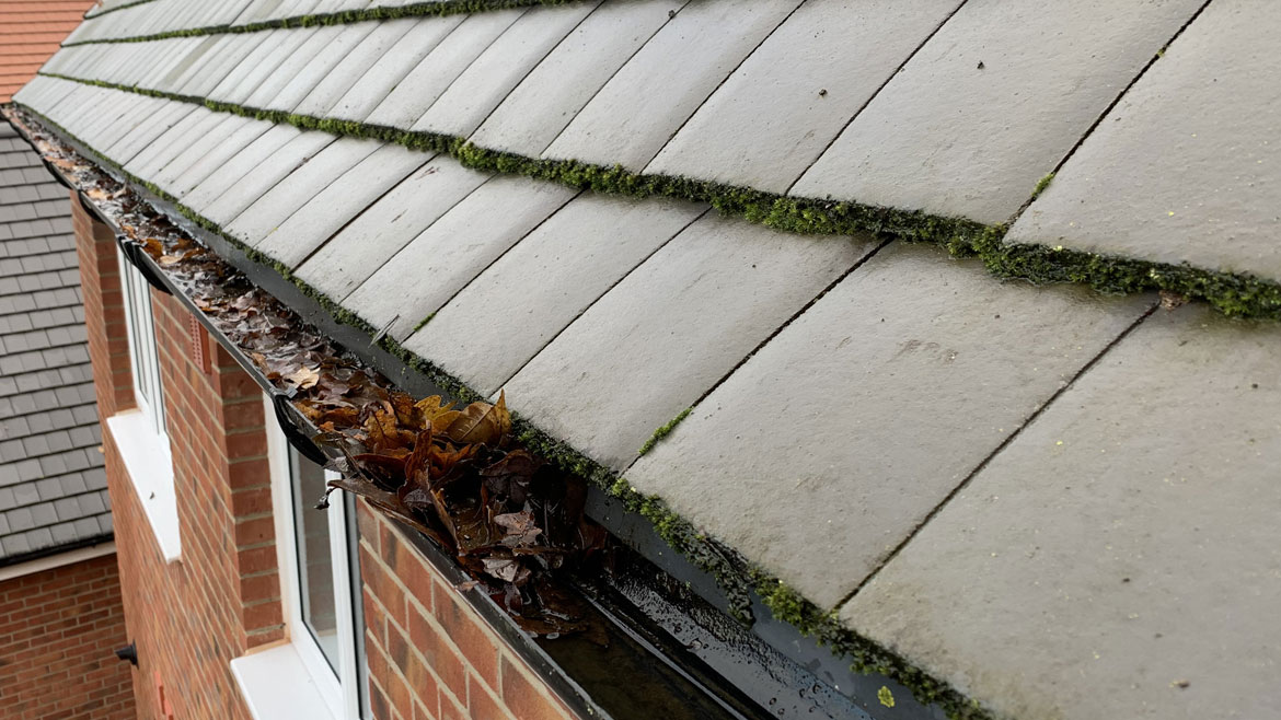 gutter cleaning Blackburn